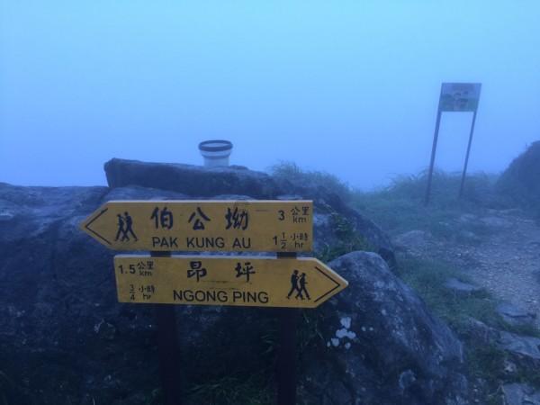 《大江大河3》又火了!剧情紧凑看点足,不愧是公认的年代剧王炸