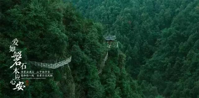 今天再看,它就是被严重低估的杰作
