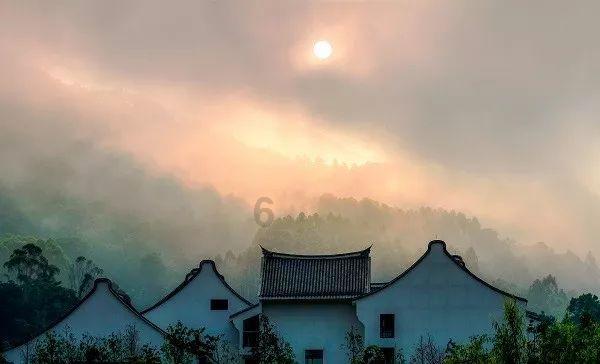 解答万物,尽在恋爱的速度过快会影响感情吗?蜗牛问答平台