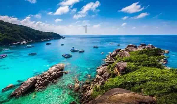 这一仗全歼敌军,并击毙敌旅长,10年后却宣布:杀错了,是自己人