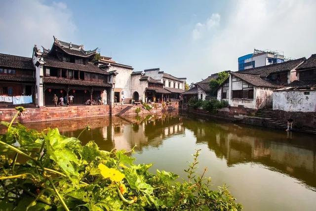 淄博喊话推荐其他山东城市,你考虑去山东的其他城市旅游吗?知识问答网页-尽享全方位知识交流