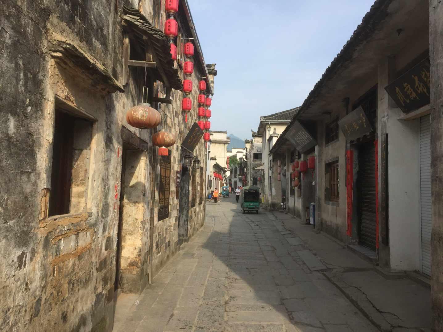洞庭月历丨水鸟:“湖水清澈,倒映着我”